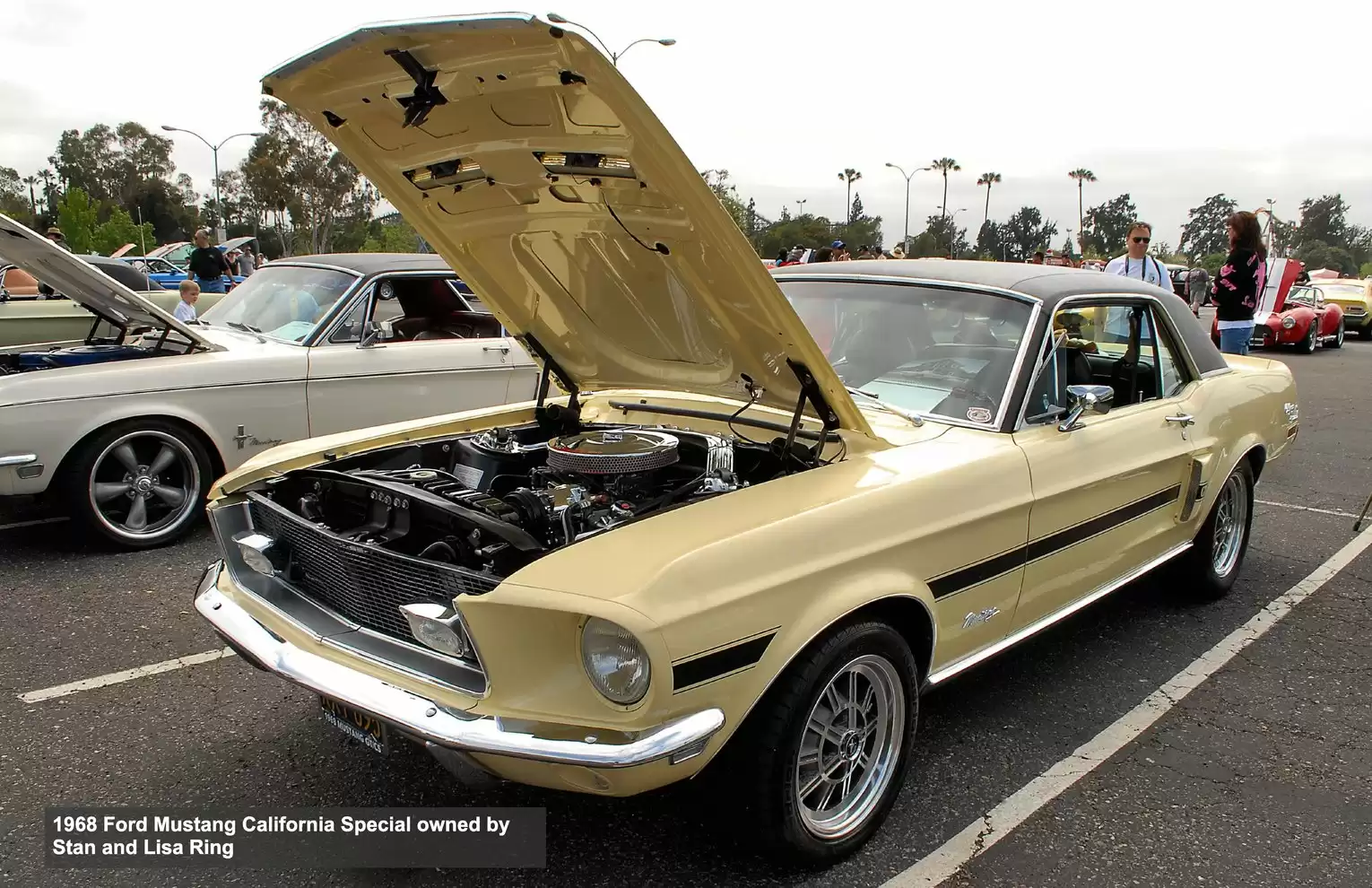 Automotive Traveler Magazine: 2012 04 2012 Fabulous Fords Show Page 29