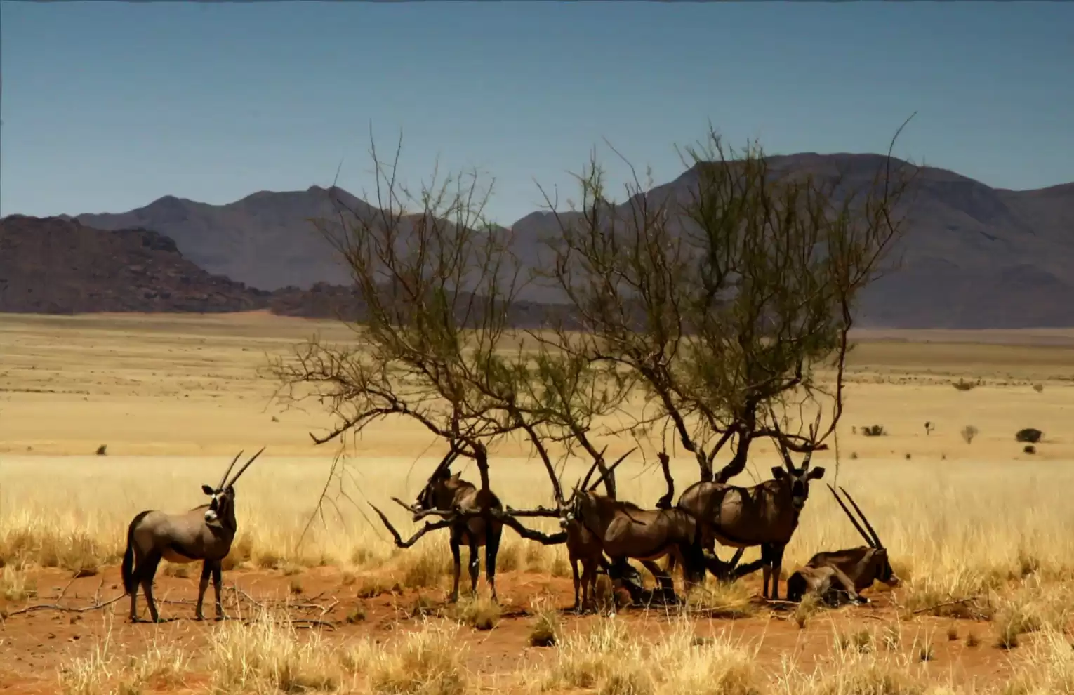 Automotive Traveler Magazine: Vol 3 Iss 1 Page 56