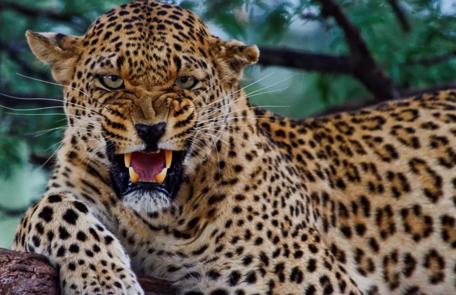 Automotive Traveler Magazine: Vol 3 Iss 1 Page 58