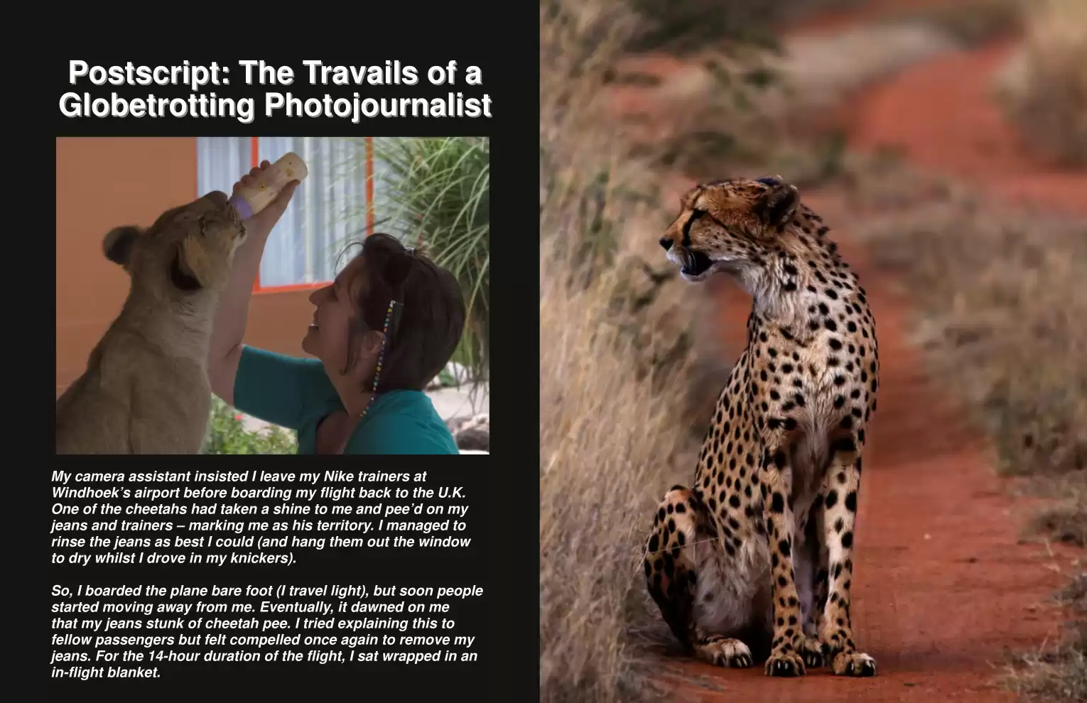 Automotive Traveler Magazine: Vol 3 Iss 1 Page 63